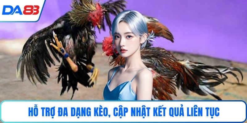 Hỗ trợ đa dạng kèo, cập nhật kết quả liên tục